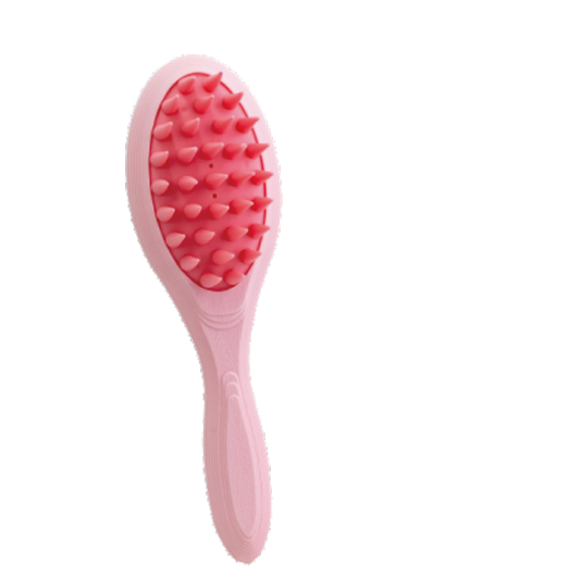 Shampoo Brush