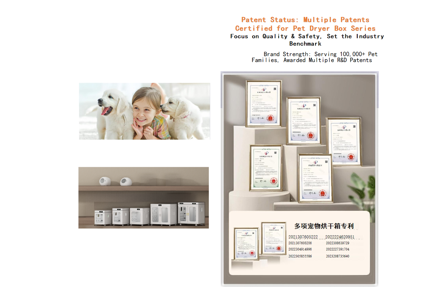 智能宠物烘干箱